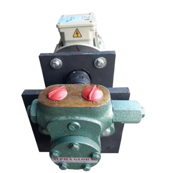 FIG Pumps image 2