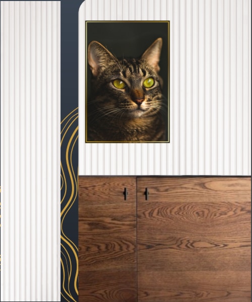 LOUVERS image 9
