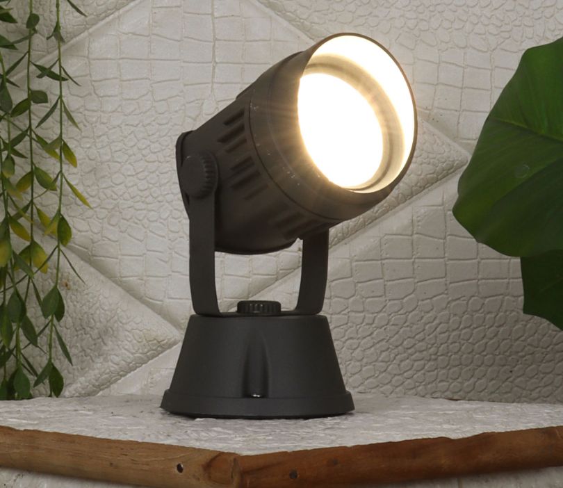 Spot Light image 3