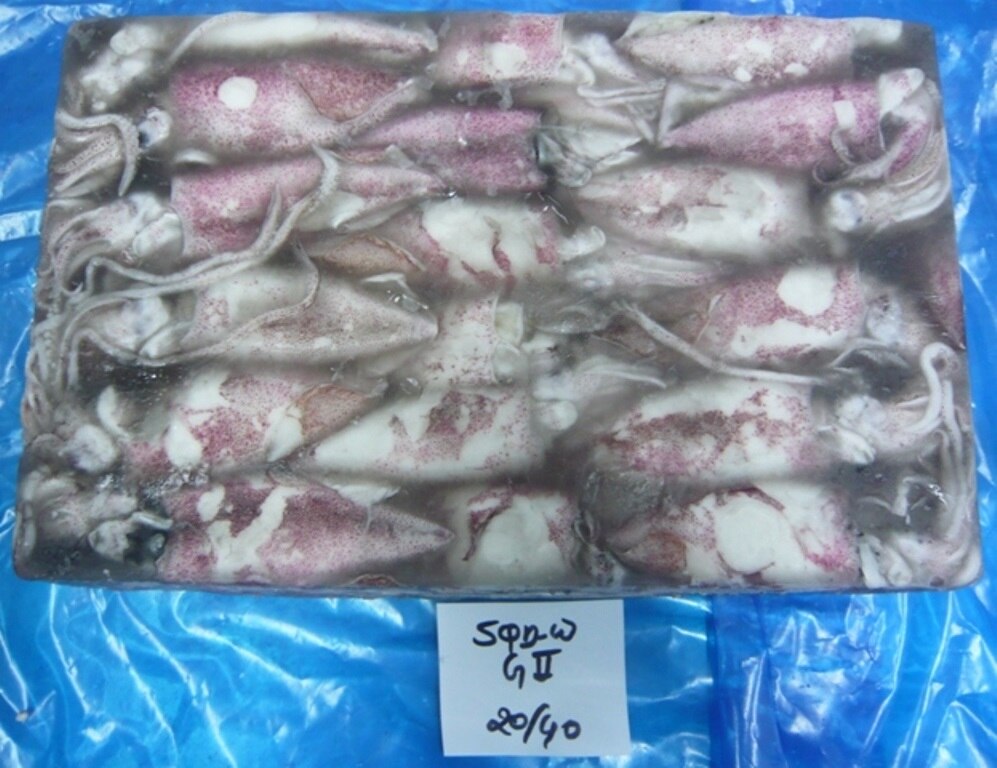RAW FROZEN SQUID WHITE G2 (BLOCK) image 2