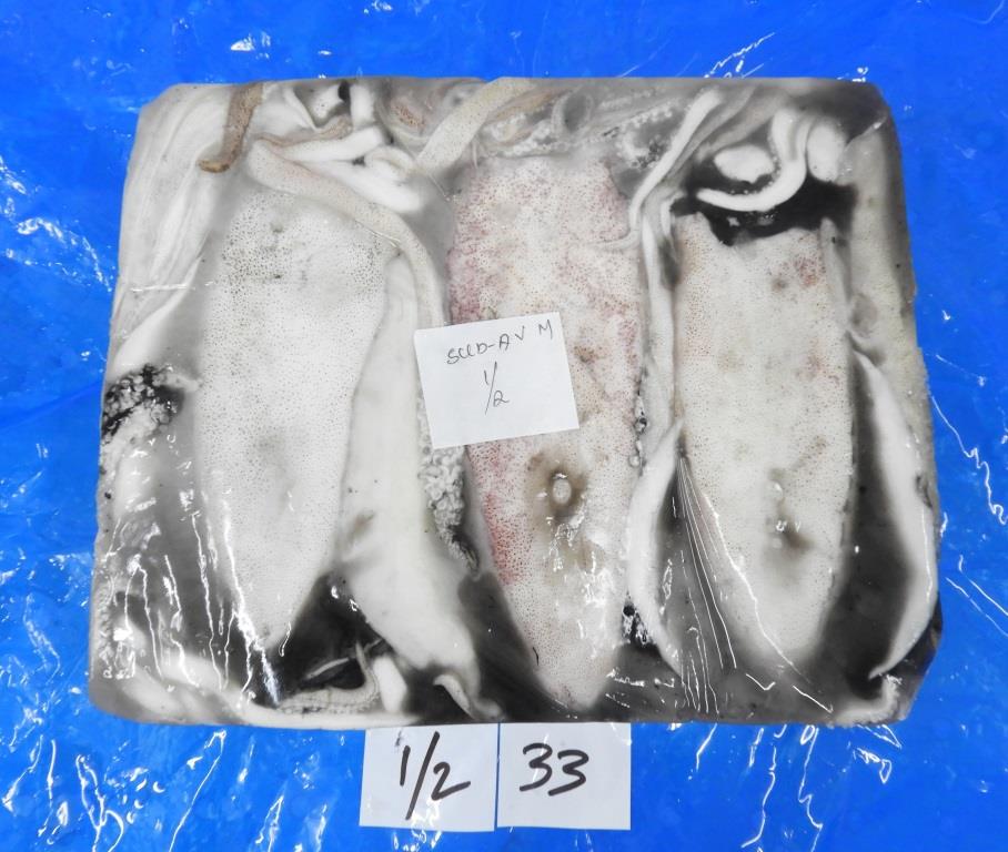 THONDI SQUID/AV SQUID (GRADE-1) image 2