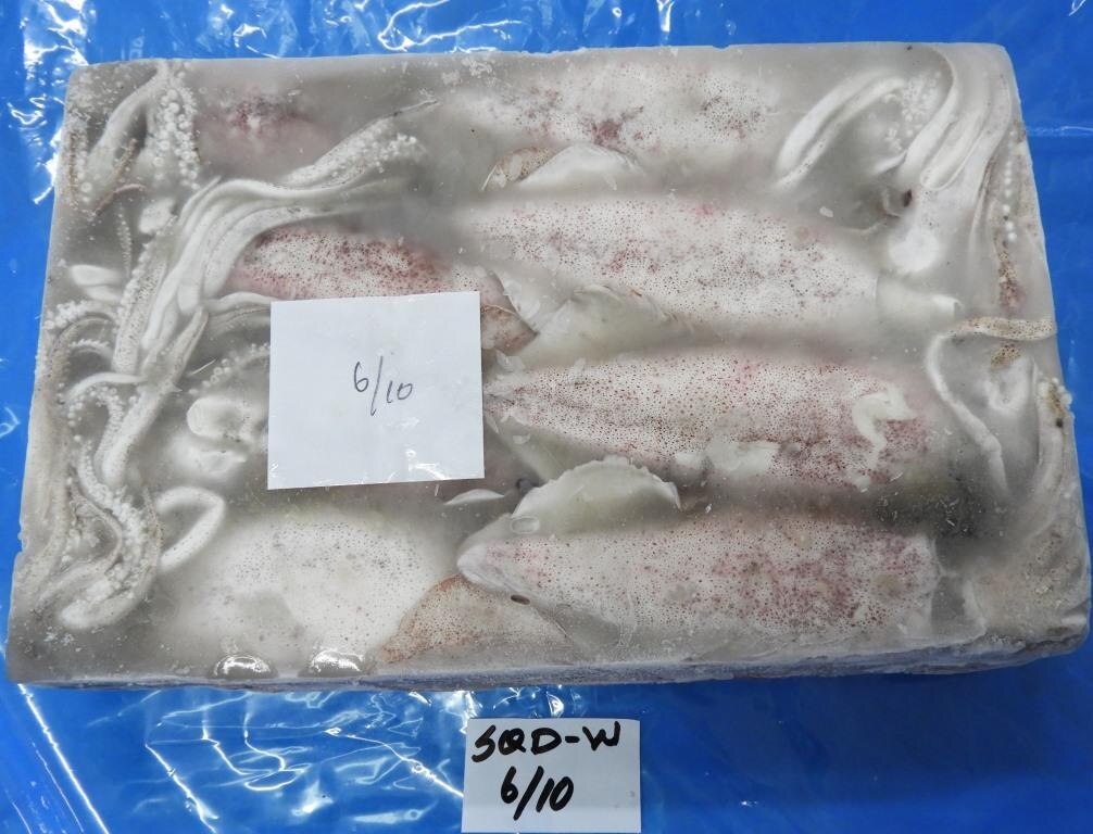 RAW FROZEN SQUID WHITE G1 (BLOCK) image 2