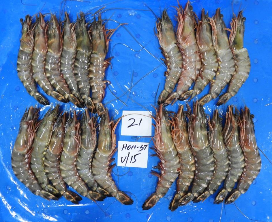 Head on Sea Tiger Prawns & Shrimps image 2