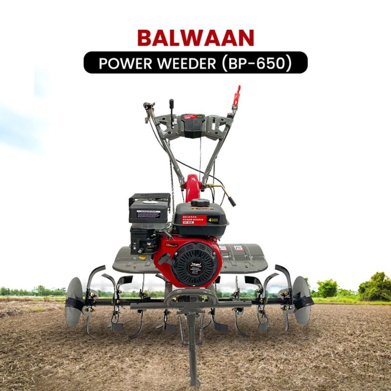 BP-650 image 2