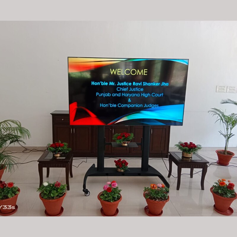 Professional large Format Display image 4