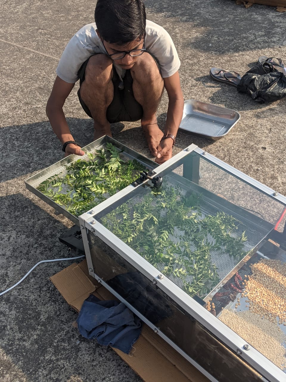 Solar Drying of Medicinal Plants image 2
