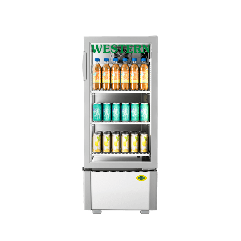 Western Visi Cooler SRC200HCF-GL image 2