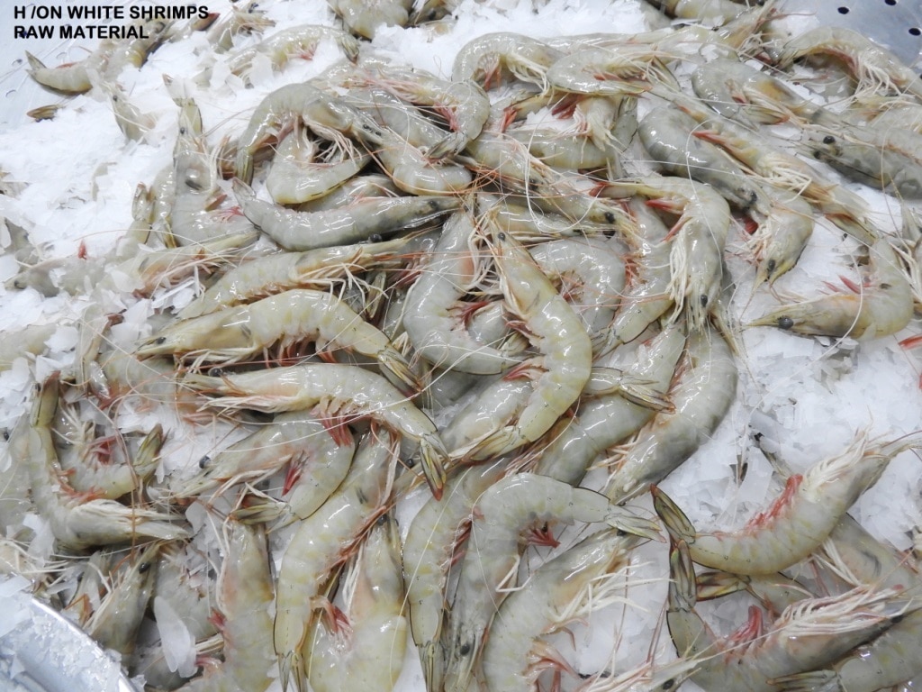 RAW FROZEN HEAD ON WHITE BLOCK FROZEN SHRIMPS image 2