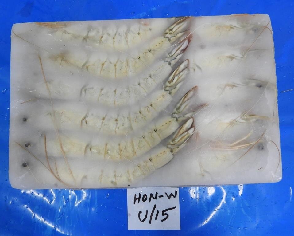 HEAD ON WHITE BLOCK FROZEN SHRIMPS image 2