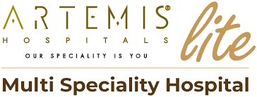 ARTEMIS HOSPITAL
