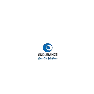 Endurance Technologies Limited
