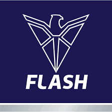 FLASH GROUP