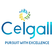 Ceigall India Limited