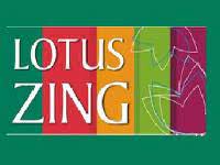 Lotus Zing 