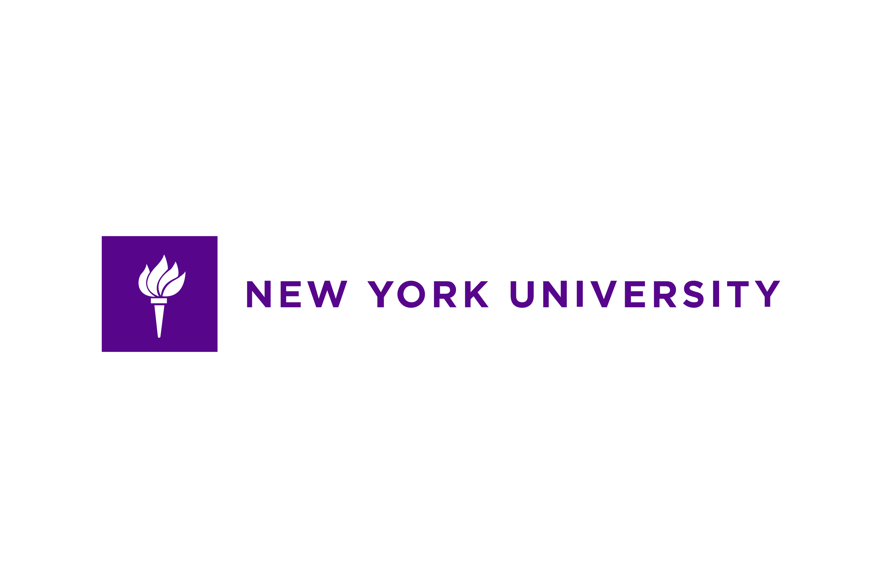 new york university