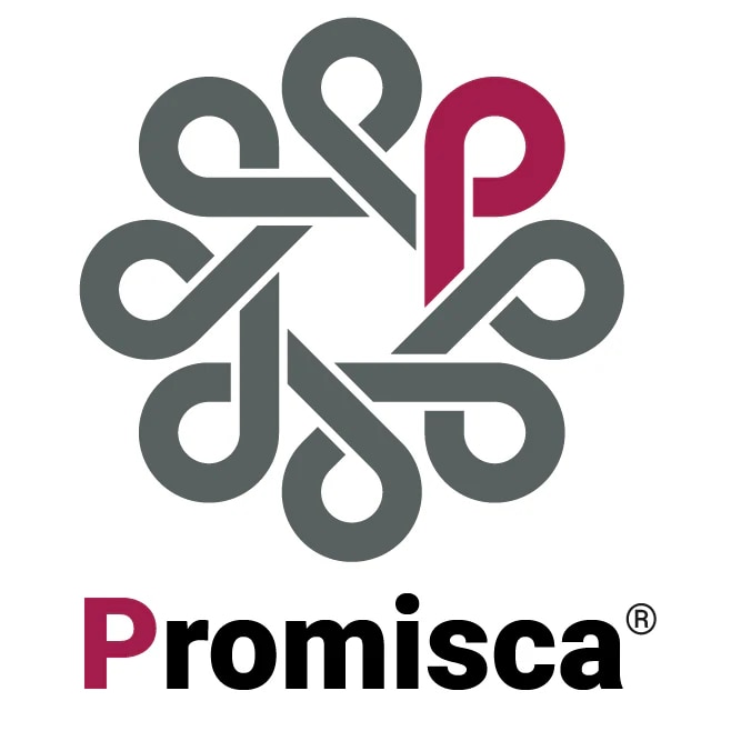 Promisca N95 mask