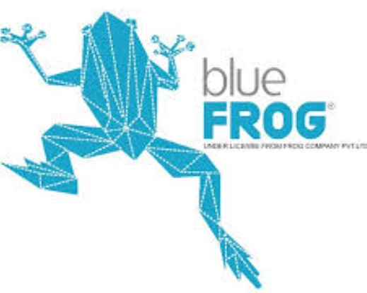 BLU FROG MEDIA CLUB