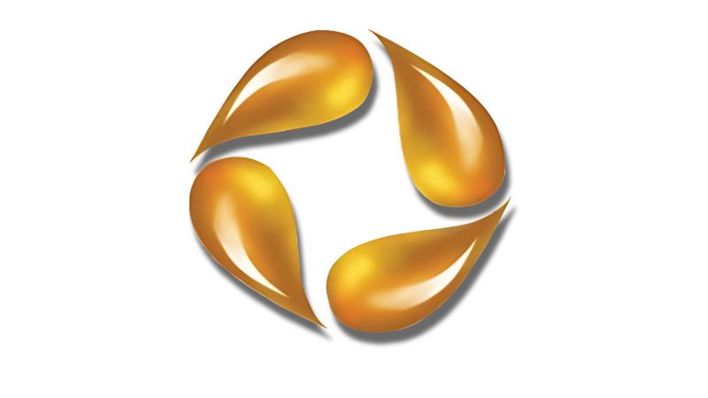 Siwoo Tech Engineering P Ltd