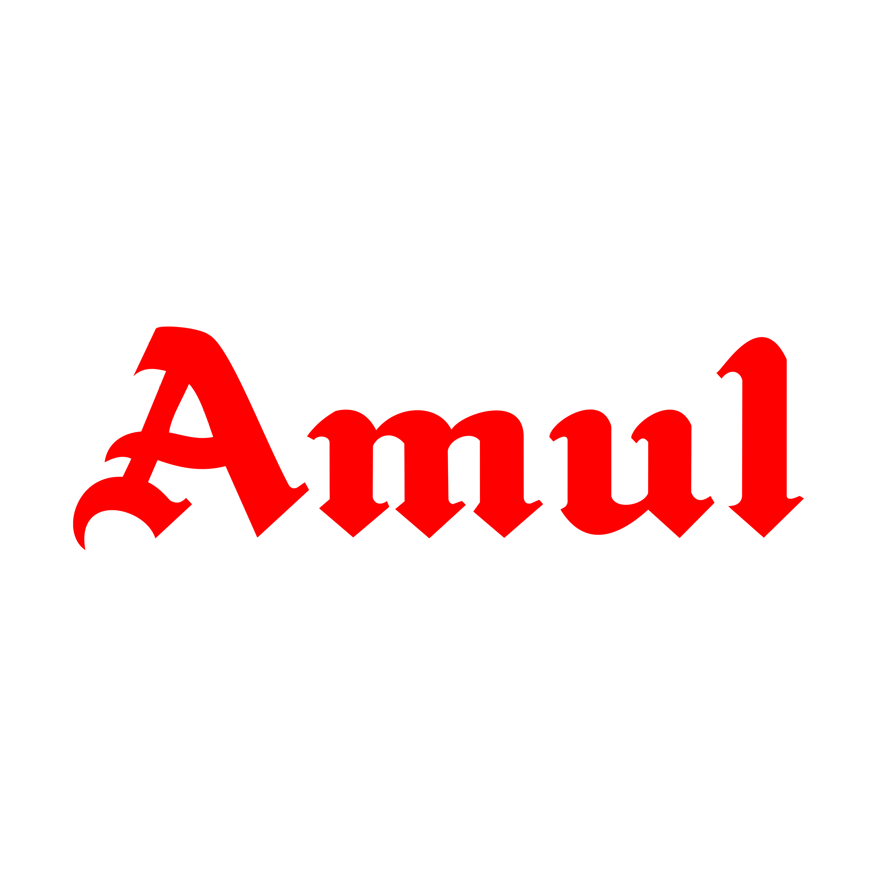 Indian dairy brand