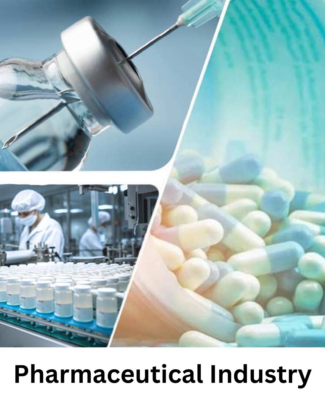 Pharmaceutical Industry