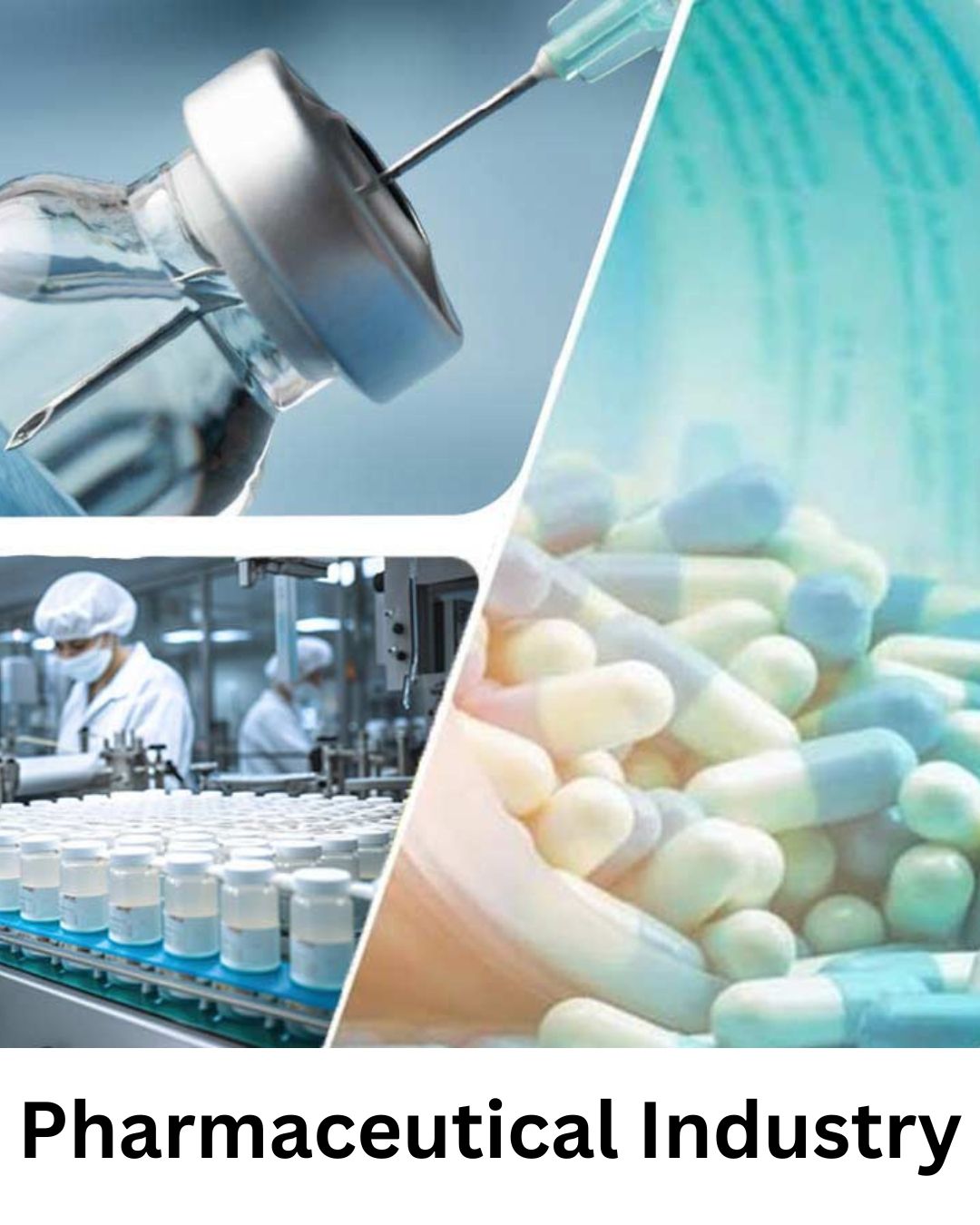 Pharmaceutical Industry