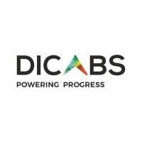 Diamond Power Infrastructure Limited