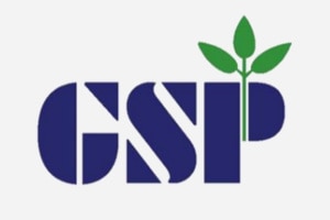GSP