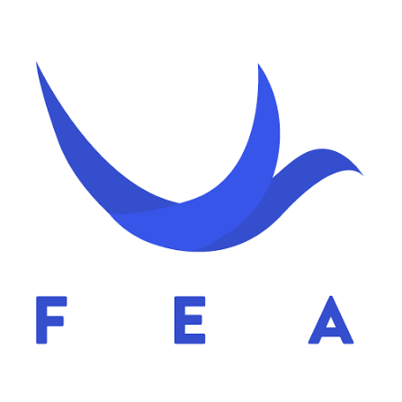 F E A Academy