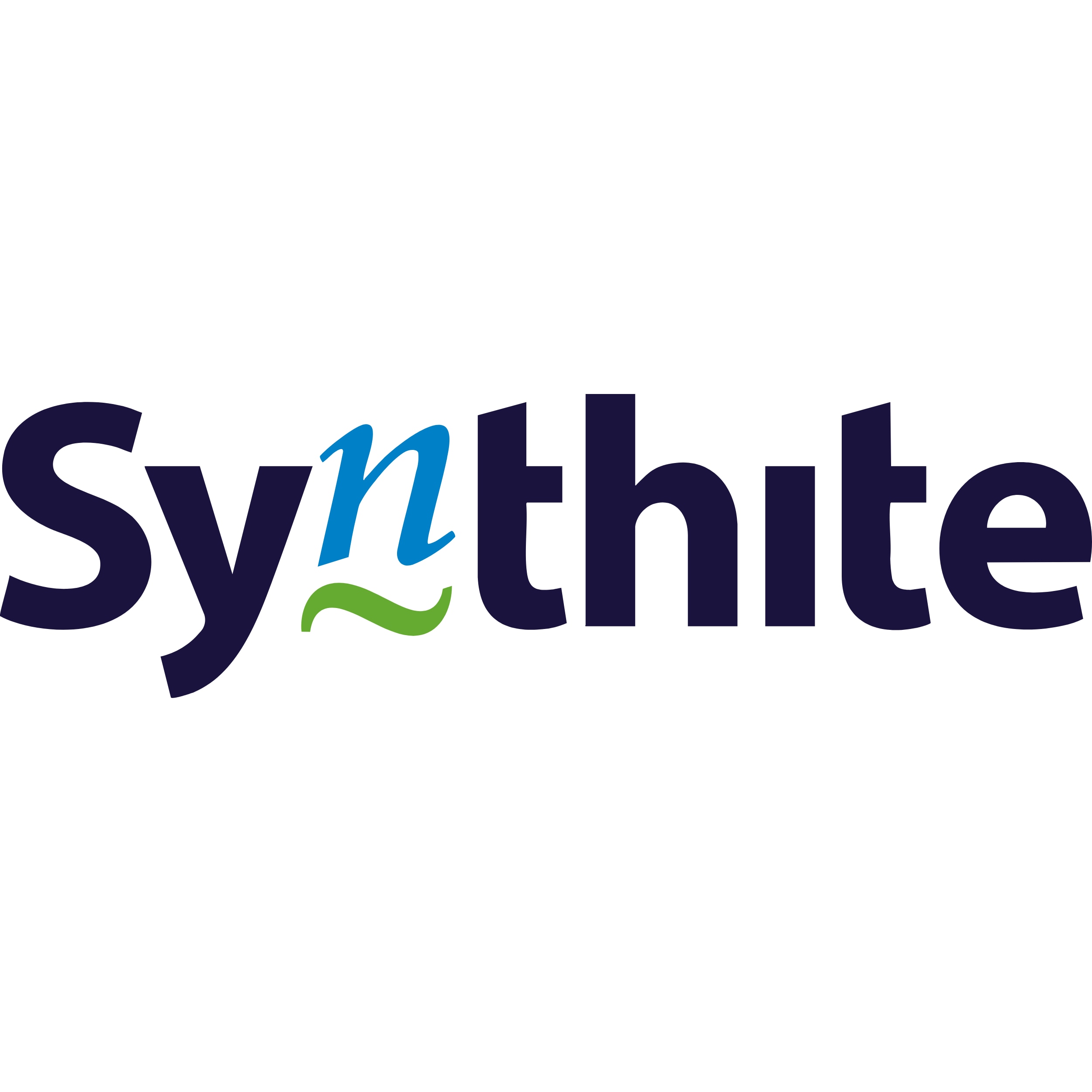 Synthite Industries Ltd.