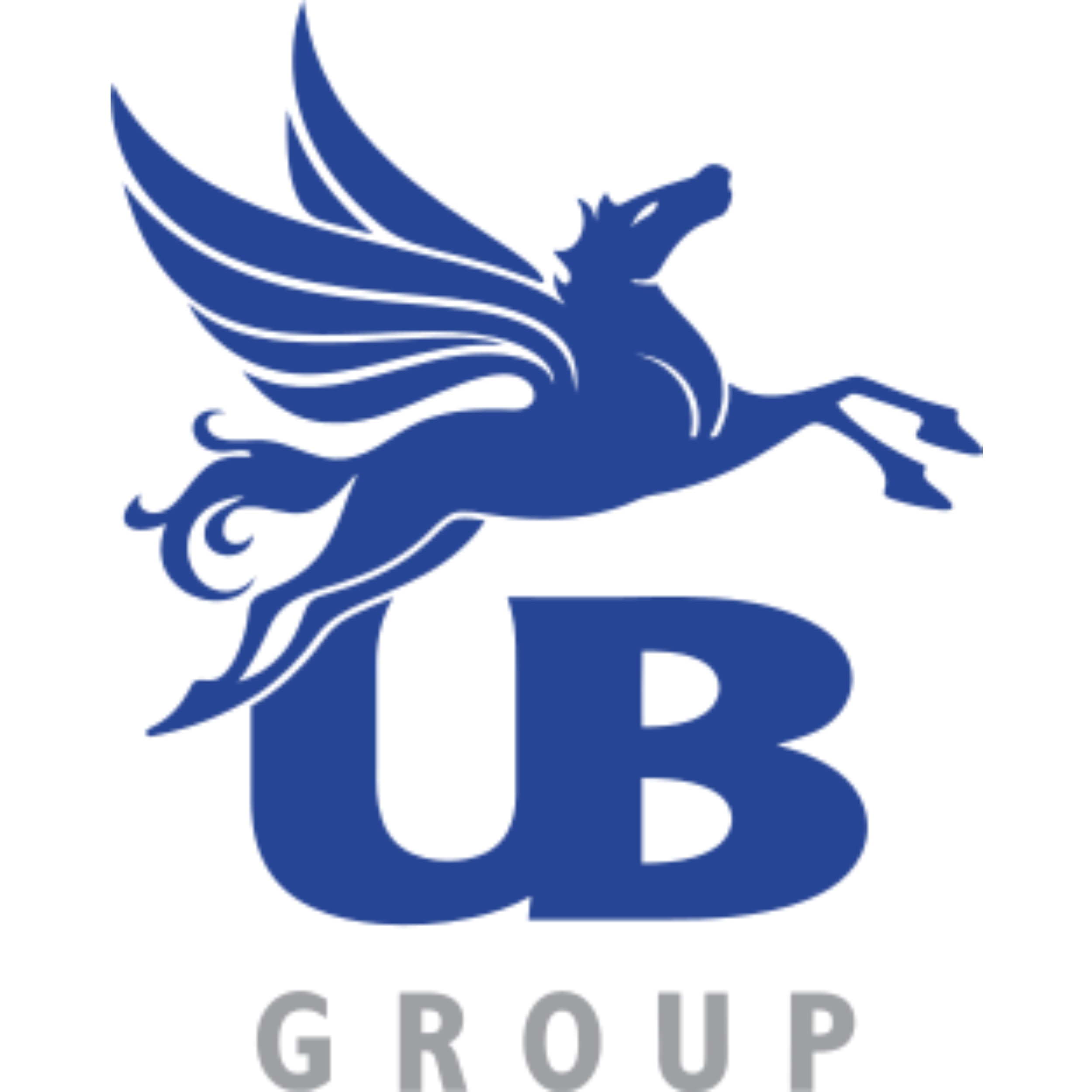 United Breweries Holdings Limited