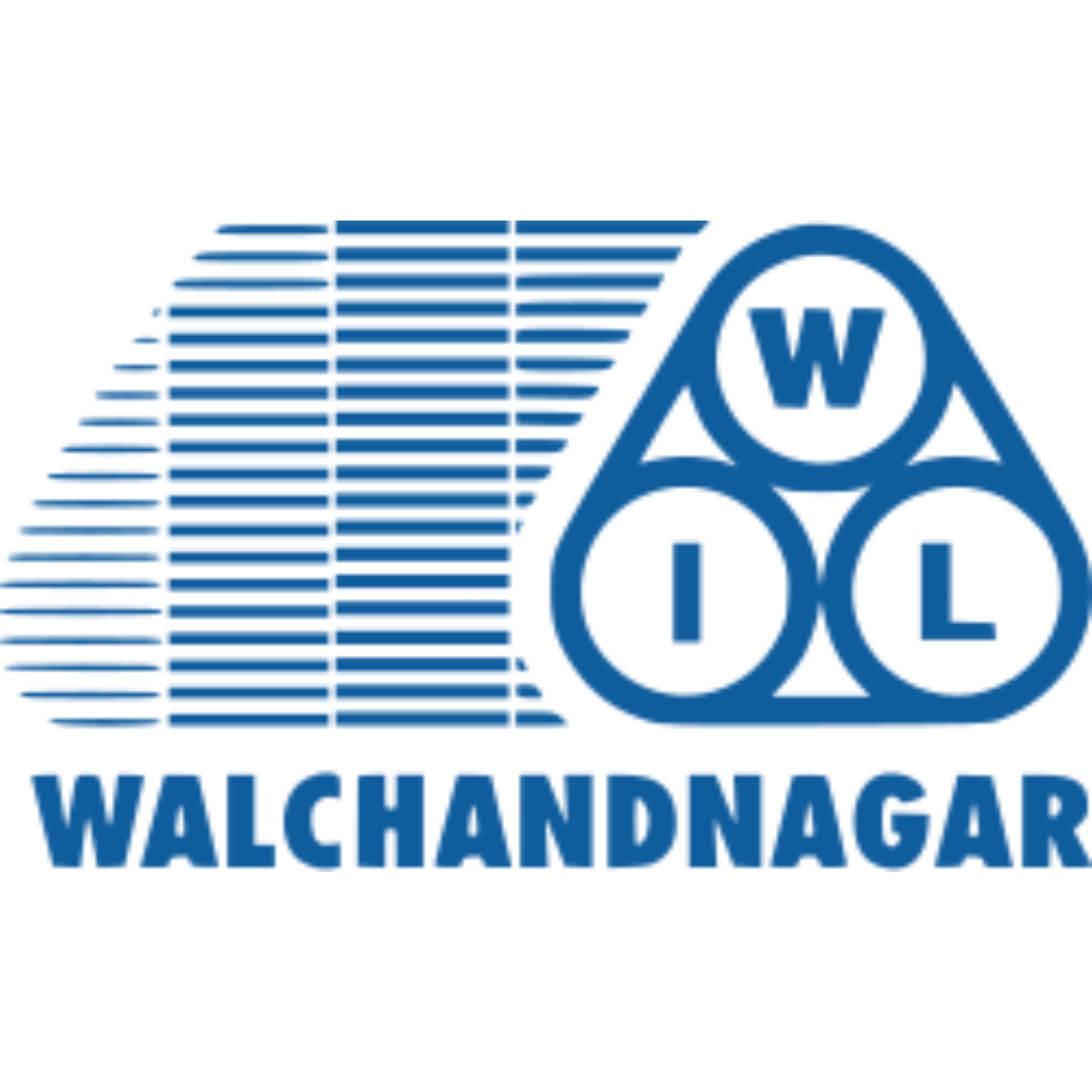 Walchandnagar Industries Ltd.