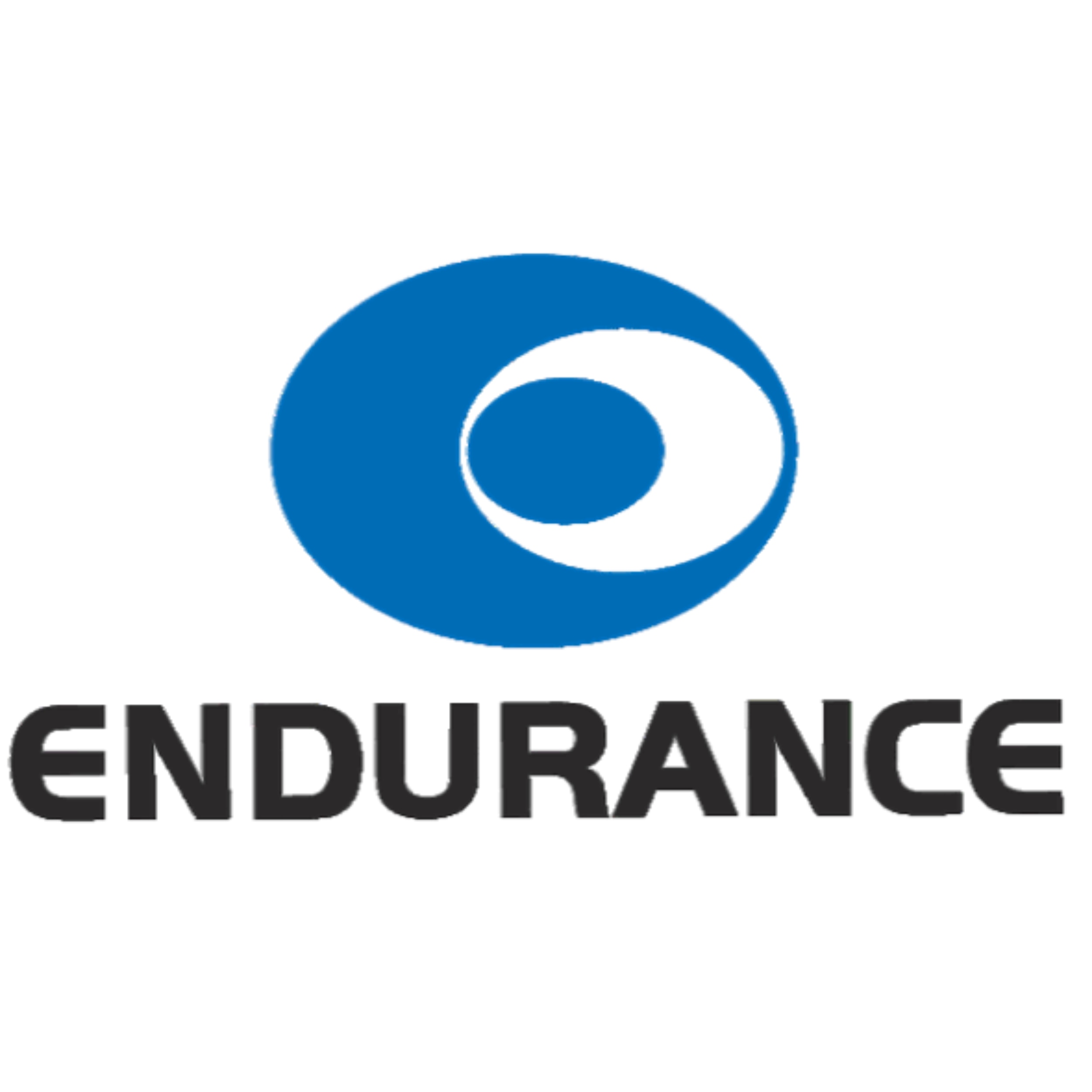 Endurance Technologies Limited