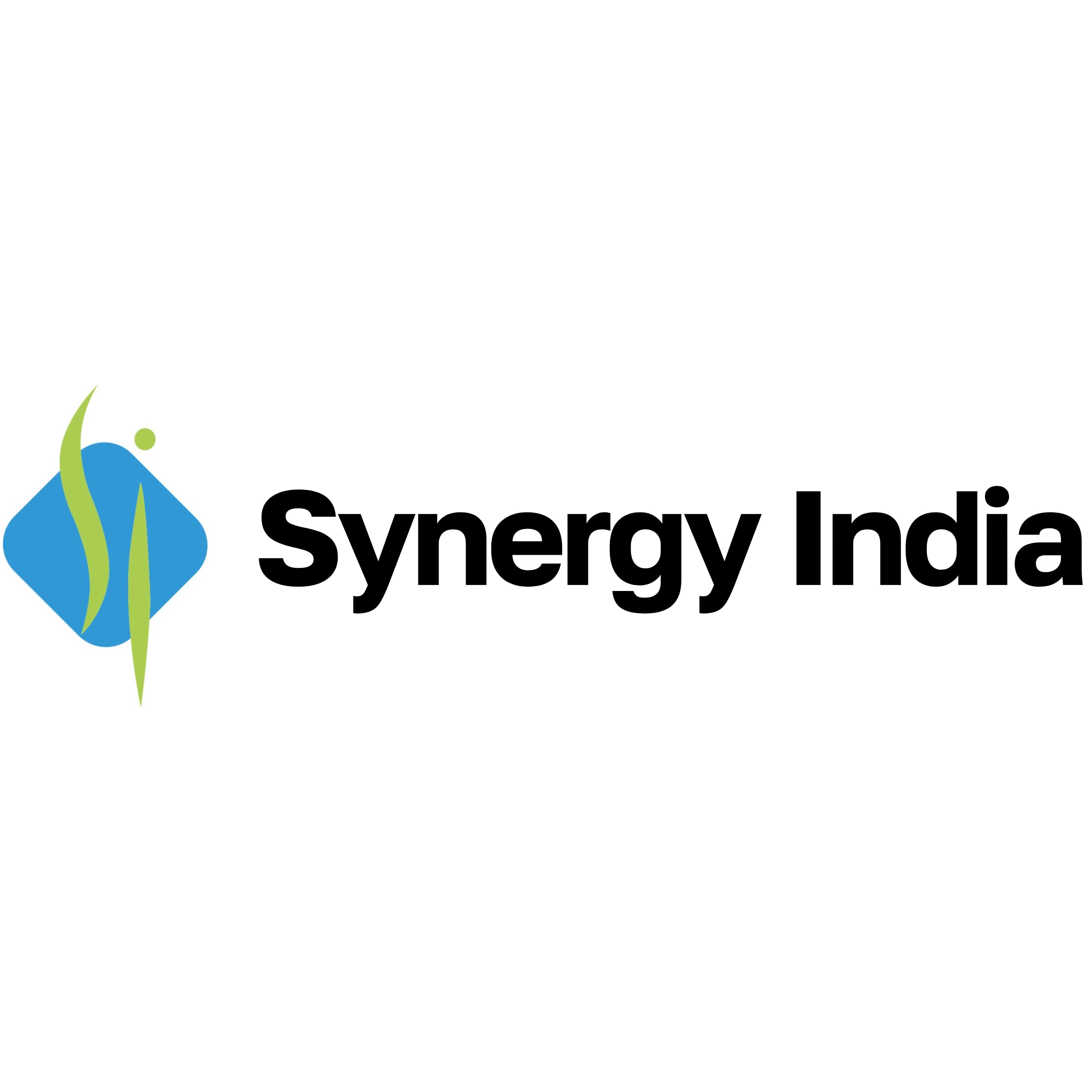 Synergy India Pvt Ltd.