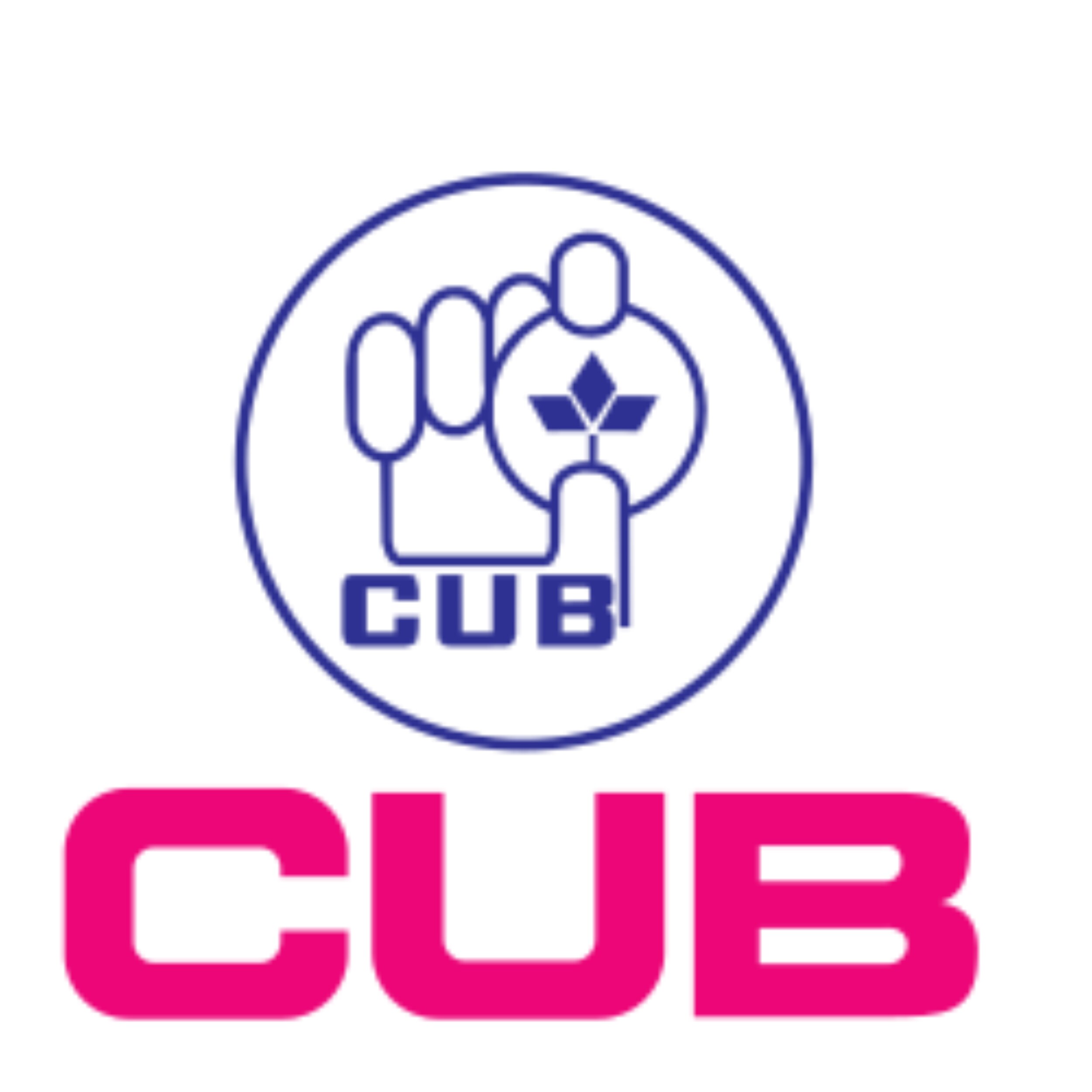 City Union Bank Limited logo