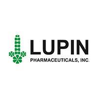 Lupin 