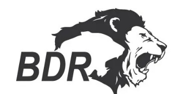 BDR PHARMACEUTICALS INTERNATIONAL PVT LTD