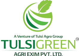 TULSIGREEN