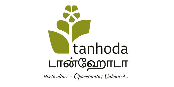 Tanhoda