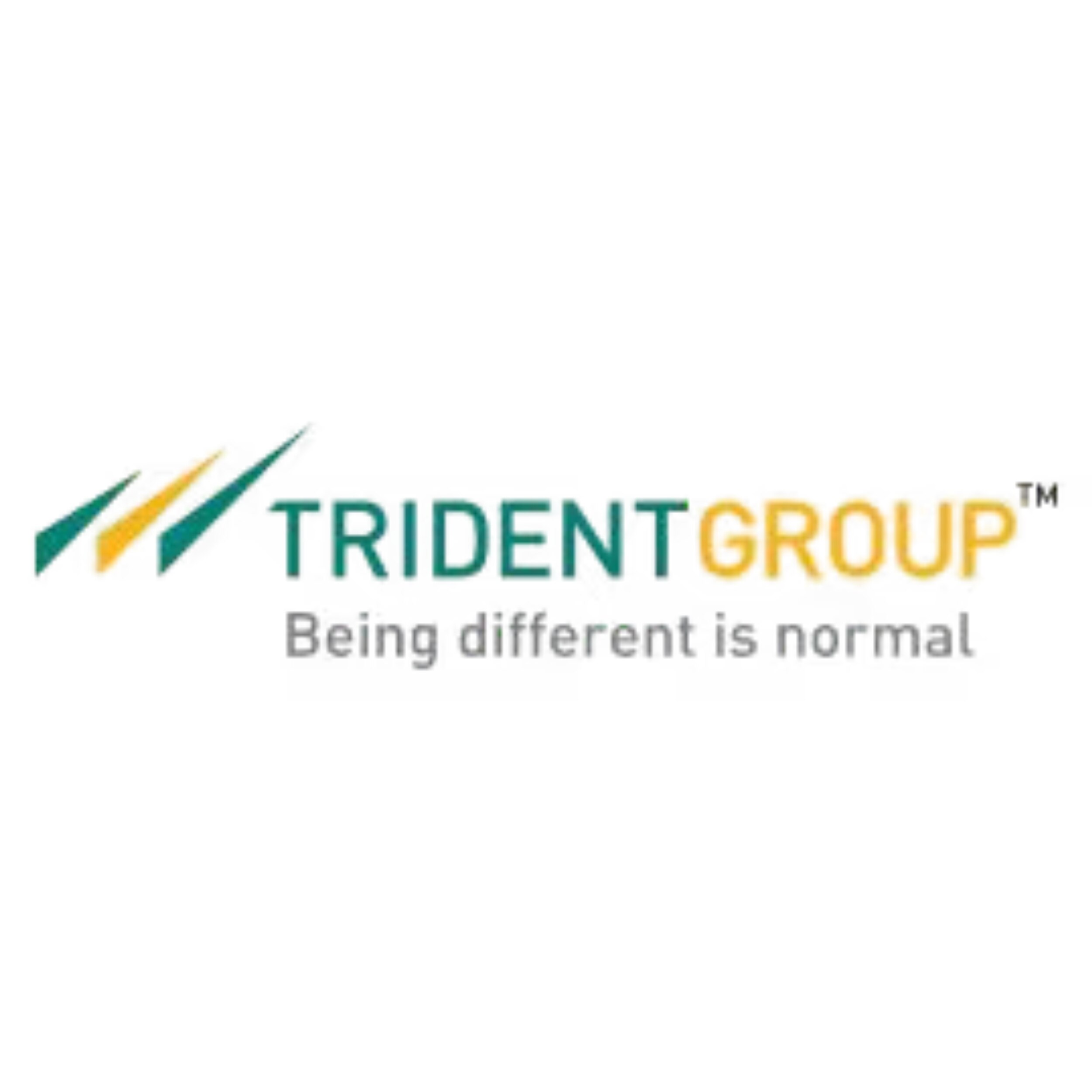 Trident Limited logo