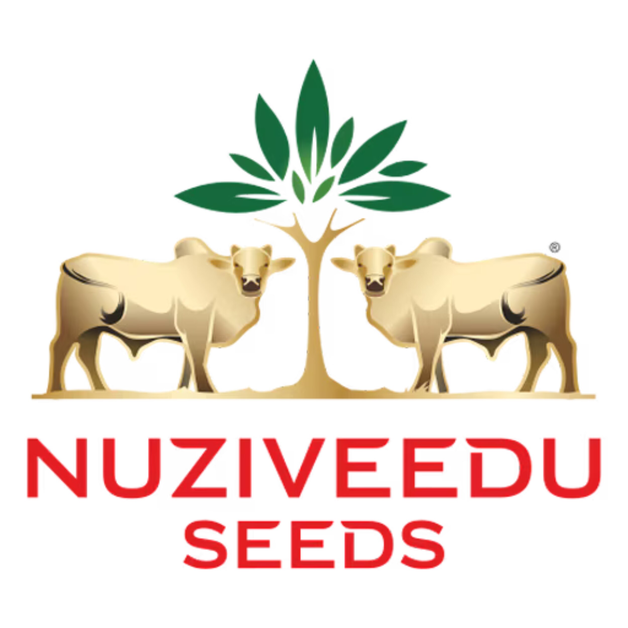 NUZIVEEDU SEEDS LTD logo