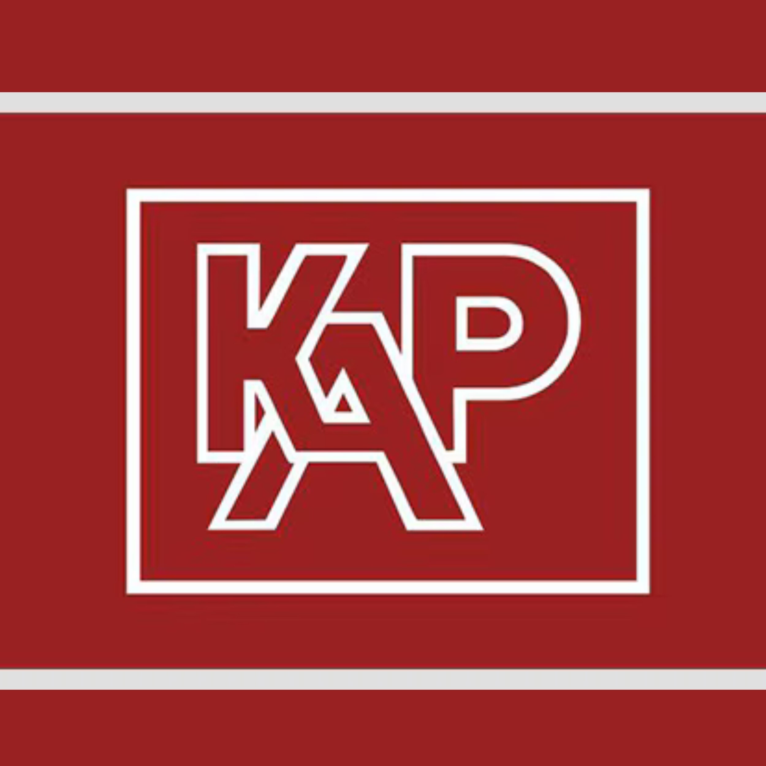 KARNATAKA ANTIBIOTICS & PHARMACEUTICALS LIMITED logo