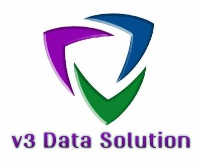 V3 DATA SOLUTIONS logo