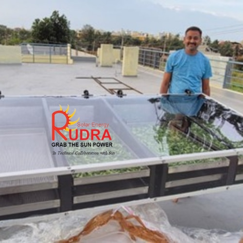 Tea Leaf Solar Dryer for Commercial Tea Processing | Project - Tea Processing & Plantation Industry