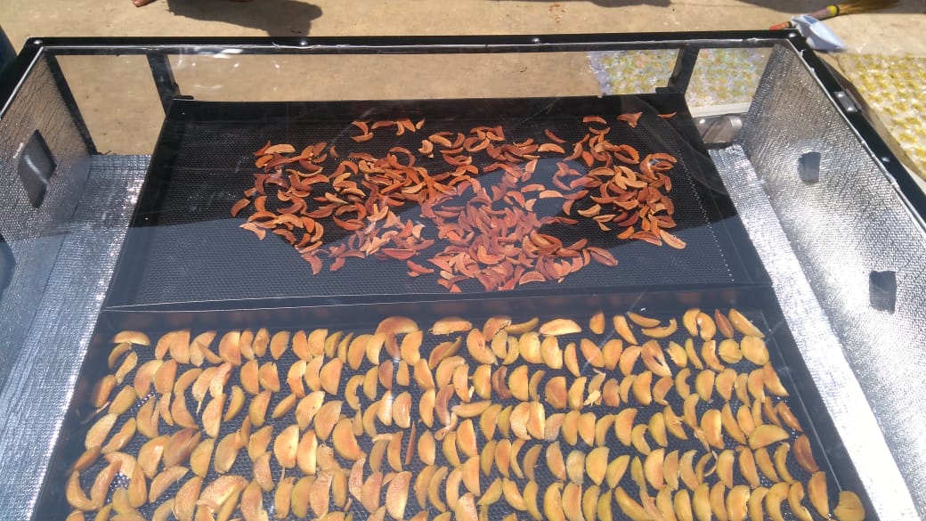 Solar Drying of Dry Fruits & Nuts — image 3