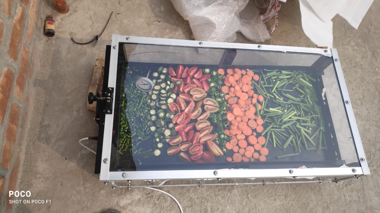 Solar Drying Solutions for Tea, Bamboo Shoots & Ginger Processing in Tripura — main image