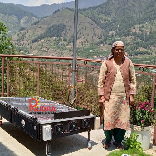 Rudra Solar Pulse Dryer for Gram, Lentil & Dal Processing Facility - Pulse Processing & Dal Milling Industry