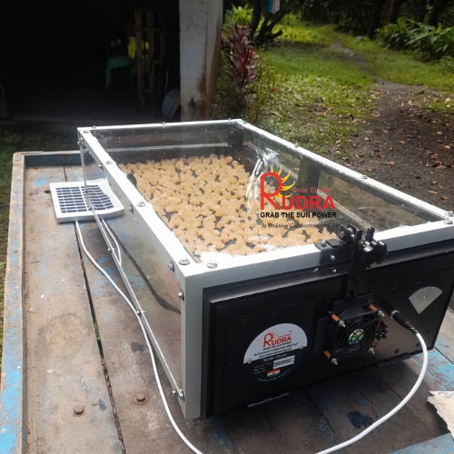 Commercial Dairy Processing with a Solar Dryer for Dairy Products — image 2