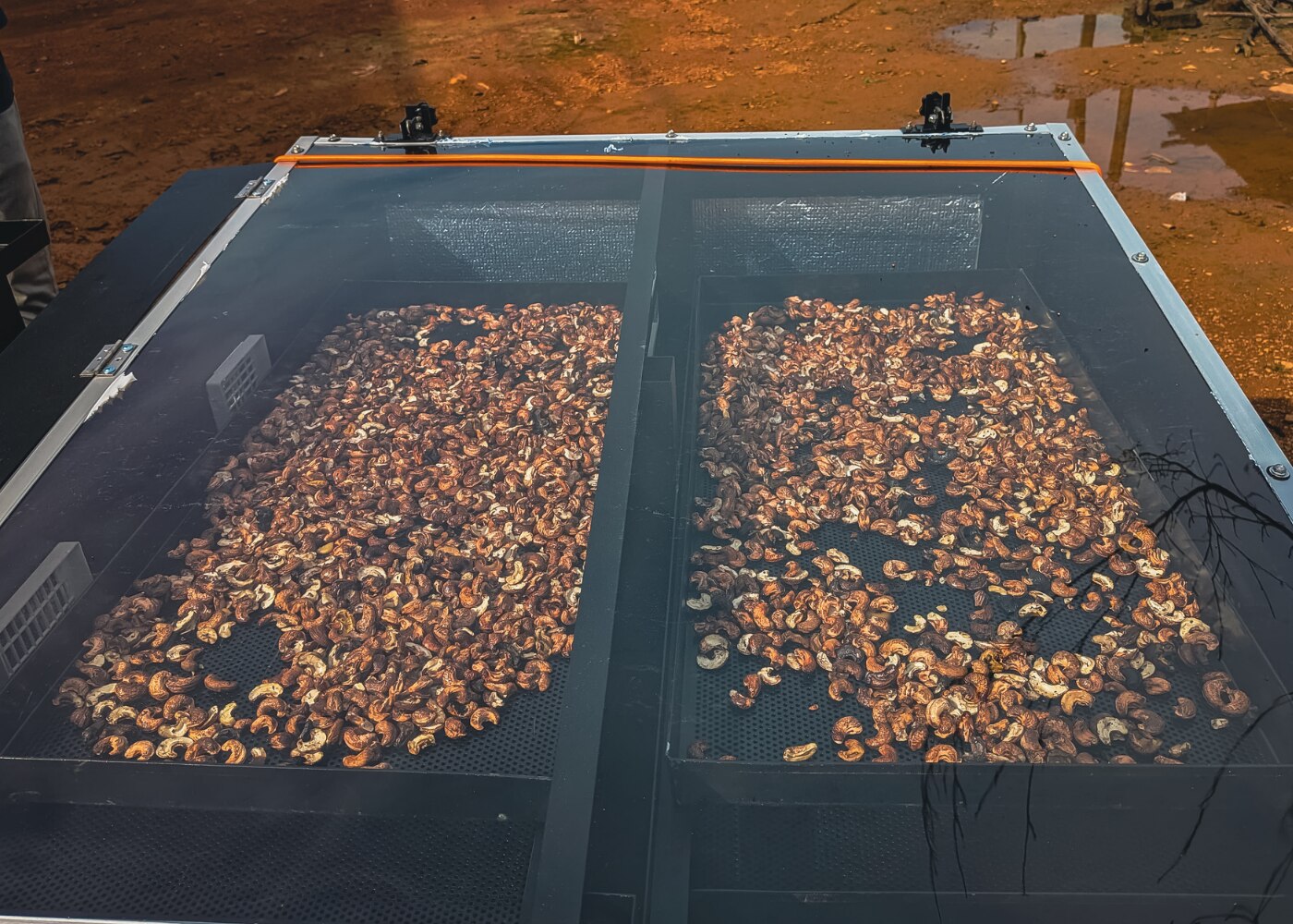 Solar Drying Project in Maharashtra — image 2