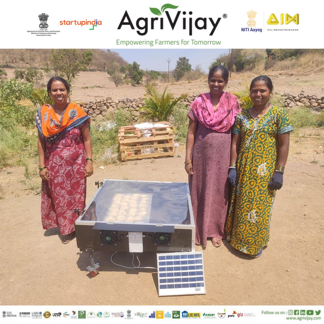 Solar Drying of Oil Seeds — image 3