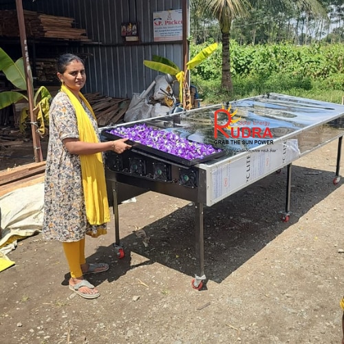 Rudra Solar Herb Dryer for Medicinal & Ayurvedic Raw Material Processing - Medicinal Plants & Herbal Raw Material Processing Industry